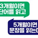 삼성도토리수학학원 이미지