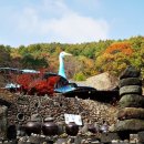 (주)삼성궁