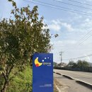 문라이트캠핑장 | 251031-1102 인천 강화도 문라이트캠핑장 A6, A7 다녀온 후기, 강화도 밴댕이 맛집 청강호 추천!