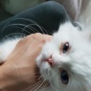 효온누리약국 이미지