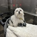 온에어코인 노래연습장 라페스타점 | 23년 04월 4째 주 주간일기!