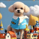 구미산동 애견미용 눈부시개 이미지