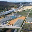 수산리-8 이미지