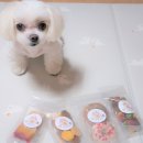 멍댕공방 | [강아지 수제간식] 강아지 생일상으로 완전 예쁜 강아지 수제간식 후기 :: 광주애견수제간식 '멍댕공방'