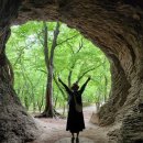 9월 16일 (수) [수요명품트레킹] 선운산꽃무릇(상사화).100대 명산 산행안내 및 예약 이미지