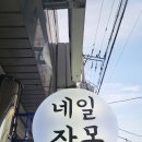 네일잔몽