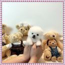 마마스미독 강아지분양 부산덕천점 | 부산강아지분양 마마스미독 대연점 크크