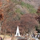 태조산 공원 이미지