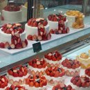 유나농장 | [대구] 신세계백화점 🍰딸기케이크 맛집 ‘시즈니크’