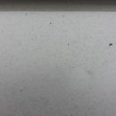 청소대장 깔끔이