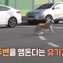 둘만농장 이미지