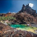 세계의 명소와 풍물 29 - 예멘, 소코트라섬(Socotra Island) 이미지