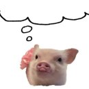 신샘밭로2 이미지