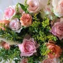 플로라제이 이미지