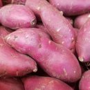 농원농산 이미지