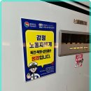 신마포갈매기 이미지