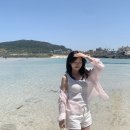 총총 이미지