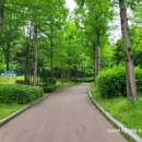 2025년5월20일(화)인천 흐린날의 문학산 산책😔 이미지