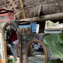 마켓스트 이미지