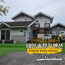 솔향기펜션 | 태안 안면도 해루질 갯벌체험 가능한 솔향기펜션 계모임 독채 2박3일 내돈내산 솔직후기