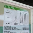 하늘바람별 | 양구 광치자연휴양림 숲속의집 개느삼 후기 별사진