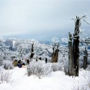 태백산약국 이미지
