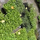 중앙종묘농약사 이미지