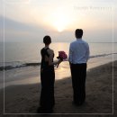 하단동1214 | 제주 웨딩 스냅 대신 부산 야외 촬영 내돈내산 다가가다 스냅