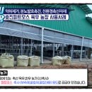 효진농장 이미지