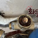 대명에스에이치