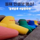 등대바다낚시터 | [동해 가볼만 한곳] 강원도 동해 사진 명소! 알록달록 파스텔 테트라포트, &#34;어달항 방파제&#34;