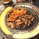 미스터갈매기
