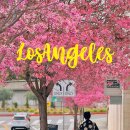 엘 하우스민박 | 미국 LA 여행 일정 날씨 시간 렌트 없이 혼자 한인민박 예약 꿀팁