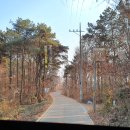 마조리 마을회관 이미지