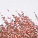 완산-160 이미지