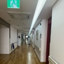 문화숙 | [배 빵꾸 ep.6] 문화병원 난소기형종 로봇 수술 후기 + 회복 꿀팁 (가격, 통증, 흉터)