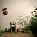 마드레한동 이미지