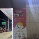 오산유치원 | 오산 댕댕아학교가자&amp;호텔 훈련유치원 애견카페 방문후기