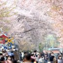 경화역 공원 1 이미지