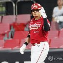 42 이미지