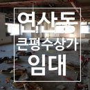 연산당구장