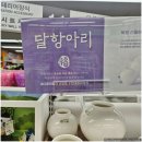 풍수지리 | 다이소 달항아리 위치 의미 풍수지리 인테리어 후기