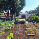 세화 동백그늘 이미지