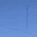 경기둘레길 연천9코스 이미지