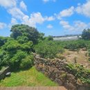 해동공인중개사사무소 이미지