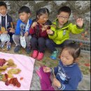 금잔디유치원 이미지