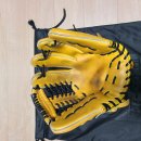 골드 세탁 이미지