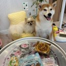 멍프레시