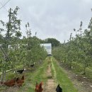 또박이농장 이미지