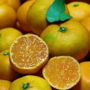 내당농산 이미지